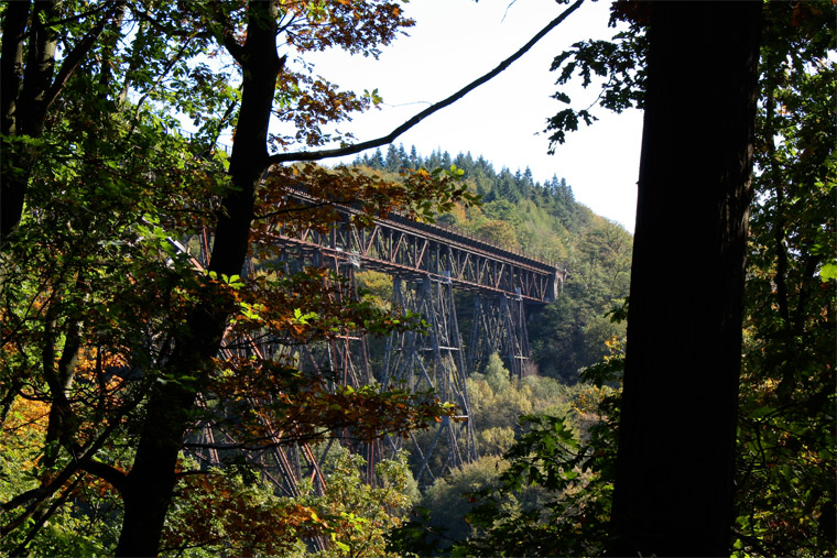 Brücke durch den Wald