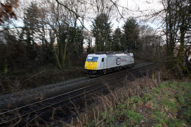 Euro Cargo Rail im Wald