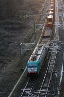 Euro Cargo Rail im Wald