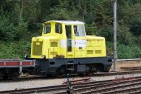 Poison Yellow Shunter