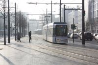 Tram and Bus